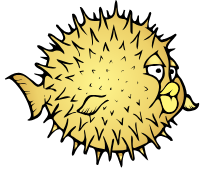 Open BSD
